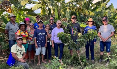 Idam faz treinamento de poda de frutíferas e cultivo de hortaliças em Autazes