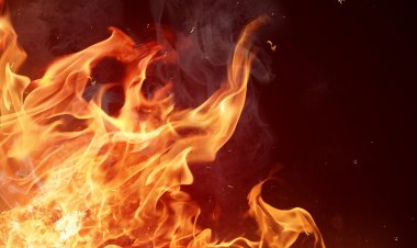 VÍDEO: Incêndio atinge ferro-velho e área de mata e espalha fumaça preta em Manaus