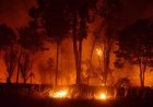AUTAZES VOLTA A ENFRENTAR RISCO DE INCÊNDIOS EM MEIO AO AVANÇO DAS QUEIMADAS NO AMAZONAS