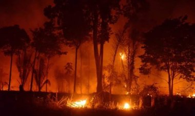 AUTAZES VOLTA A ENFRENTAR RISCO DE INCÊNDIOS EM MEIO AO AVANÇO DAS QUEIMADAS NO AMAZONAS