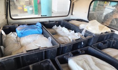 ADAF APREENDE 550 QUILOS DE QUEIJO COALHO TRANSPORTADOS DE AUTAZES PARA MANAUS