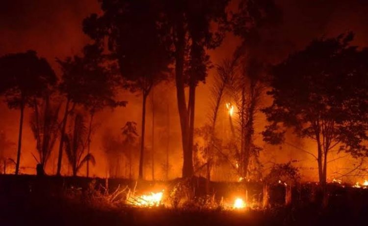 AUTAZES VOLTA A ENFRENTAR RISCO DE INCÊNDIOS EM MEIO AO AVANÇO DAS QUEIMADAS NO AMAZONAS