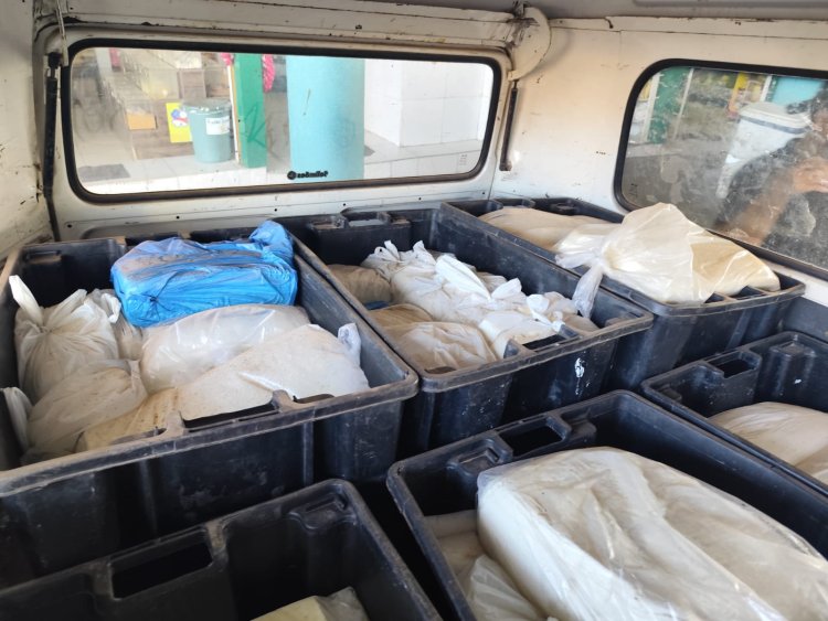 ADAF APREENDE 550 QUILOS DE QUEIJO COALHO TRANSPORTADOS DE AUTAZES PARA MANAUS